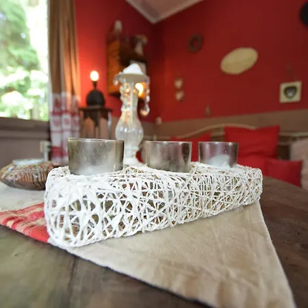 Lively Holiday With Garden Barbecue Garden Furniture בית נופש